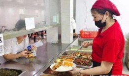 天津配餐爆料者视频下载,幕后真相与食品安全问题曝光